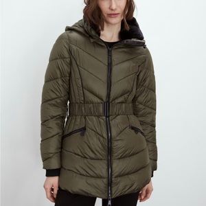 Belted Jacket